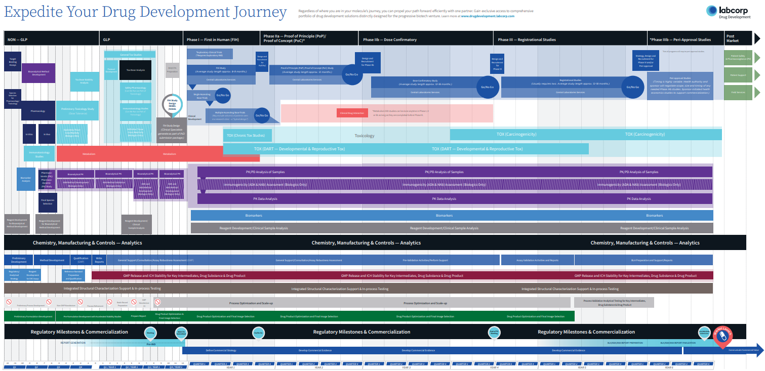 Cronograma del proceso de desarrollo farmacológico