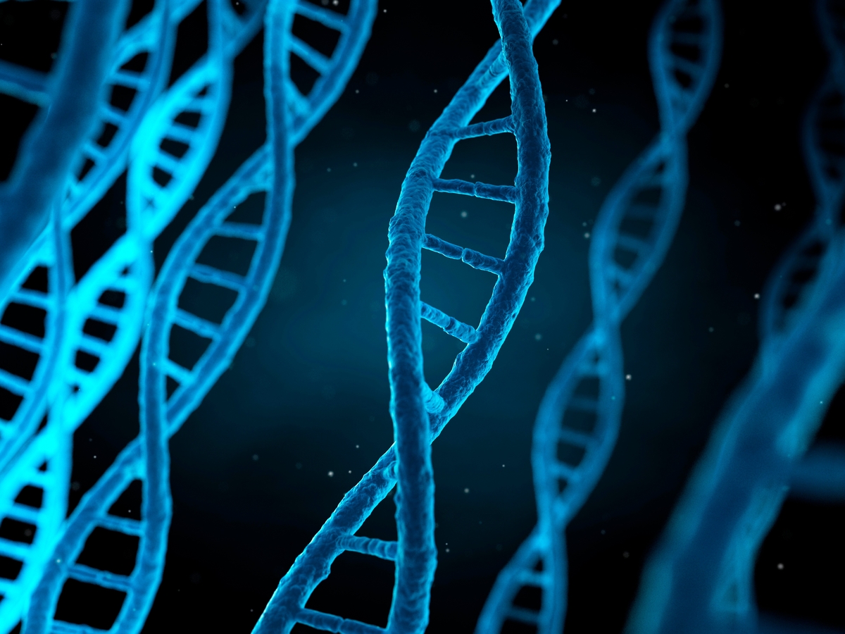 Human deoxyribonucleic acid (DNA), computer illustration.