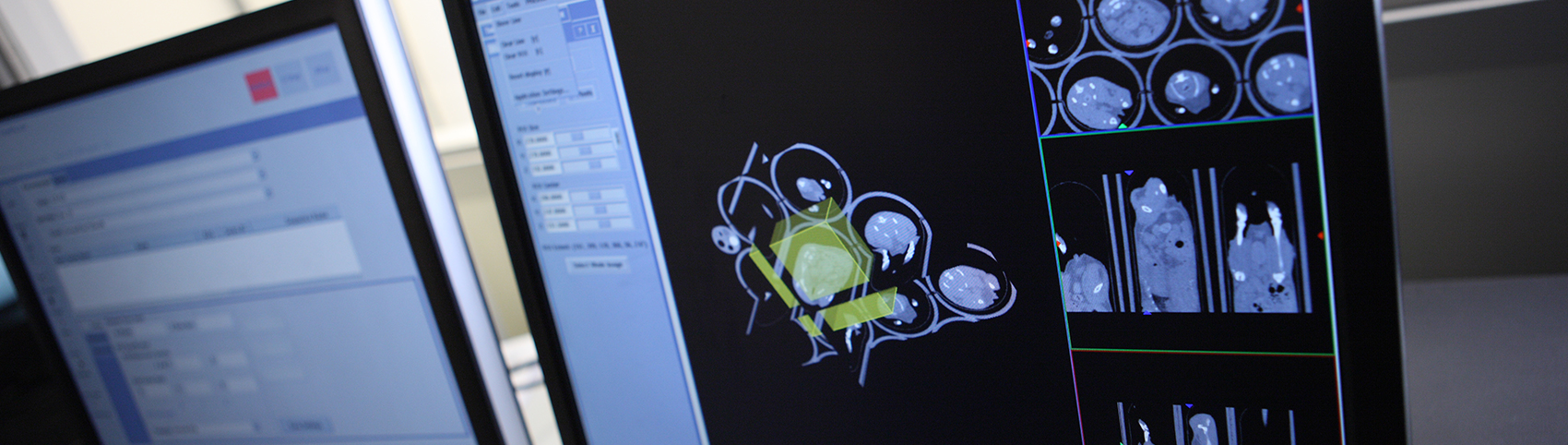 Imagen de imágenes por bioluminiscencia en la pantalla de una computadora