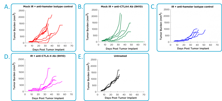 抗CTLA-4和局部放疗在原位4T1-luc2乳腺肿瘤模型中的功效。
