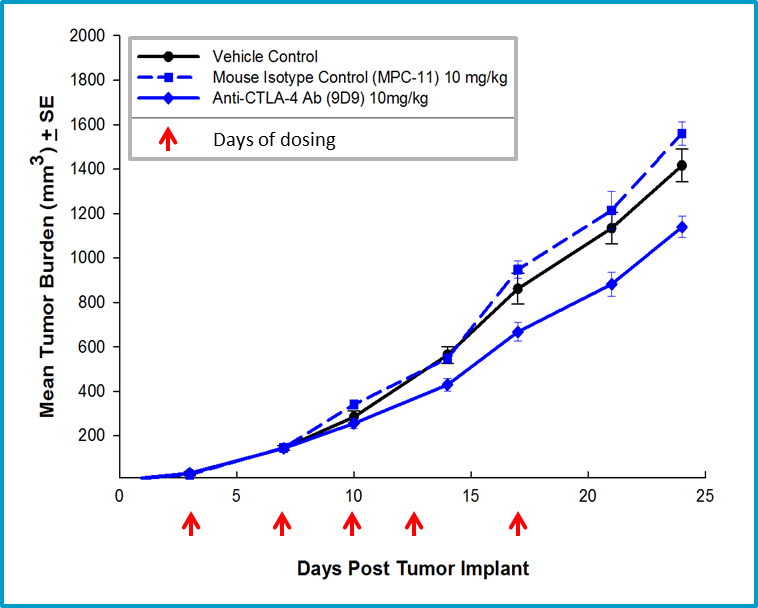 Imagen 4: Eficacia de terapia con anti-CTLA-4 con anticuerpo anti-CTLA-4 de isotipo de ratón.