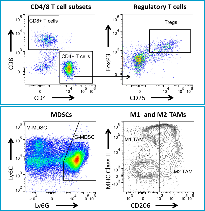 Fig. 5: Flow cytometry immune profiling for 4T1-luc2 tumors.