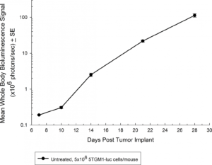 Fig. 1: cinética de crecimiento de 5TGM1-luc en ratones C57BL/KaLwRij inmunocompetentes mediante BLI