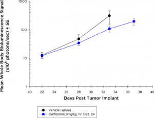 Fig. 3b : effets antitumoraux du Carfilzomib sur la maladie 5TGM1-luc disséminée chez des souris C57BL/KaLwRij