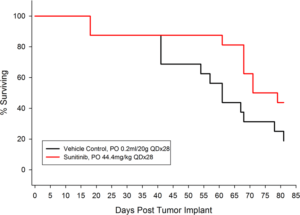 Figure 2: Percent Survival for Orthotopic 786-O (pMMP-LucNeo) Human Renal Carcinoma