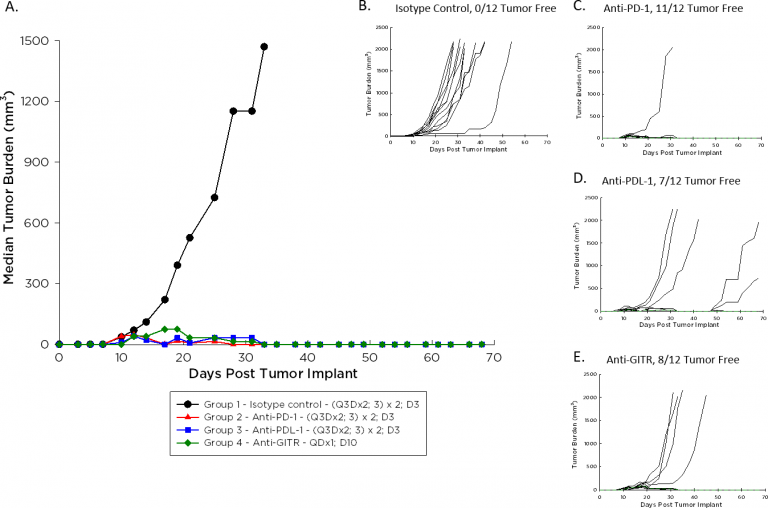 Fig. 1: Median and Individual Growth of A20 Tumors Following Immunotherapy