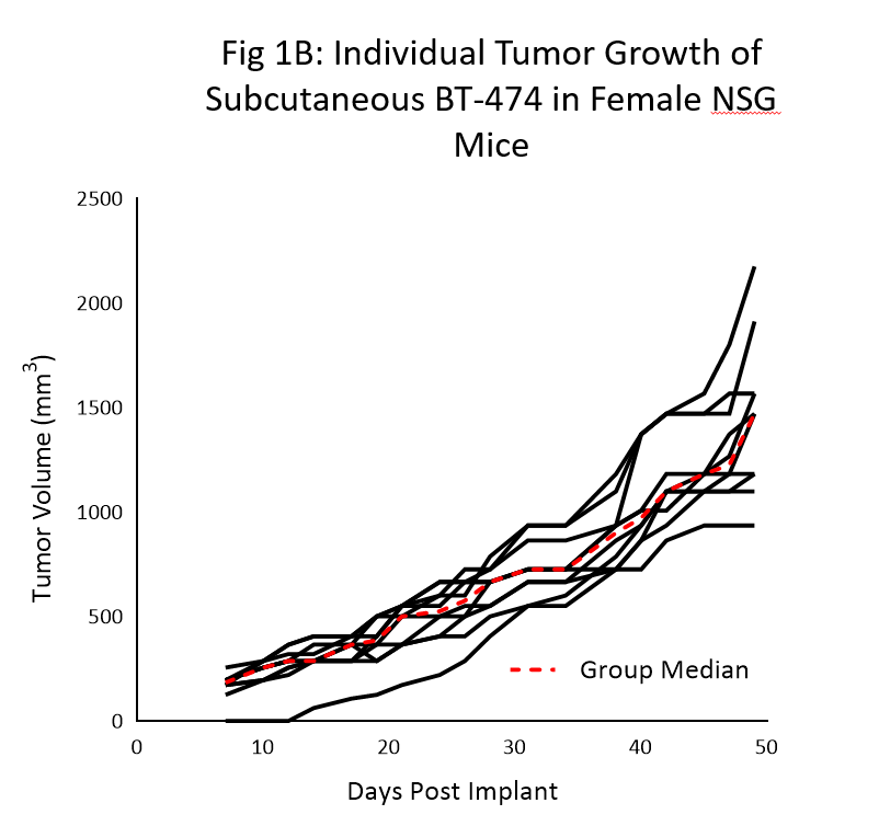 図 1B：メスの NSG マウスにおける皮下 BT-474 の個々の腫瘍増殖