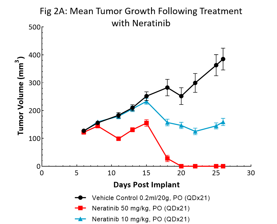 图2A：用奈拉替尼治疗后的平均肿瘤生长