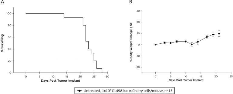 Fig. 2 : cinétique de la survie (A) et changement du poids corporel (B) des souris C57BL/6 avec une LMA C1498-luc-mCherry disséminée.