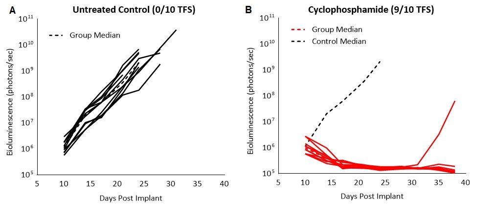 图2：在C57BL/6小鼠中，C1498-Luc-mCherry对环磷酰胺治疗的反应。A和B：随着时间推移，来自每只小鼠的生物发光信号。黑色虚线表示未治疗对照组的中值信号。