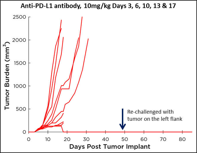 Graphique sur l'anticorps anti-PD-L1