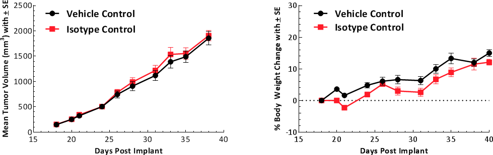 Abb. 1: Wachstumskinetik von subkutanen E0771-Tumoren. Der Graph zeigt Transportmittelkontrolle im Vergleich zur Isotypenkontrolle.