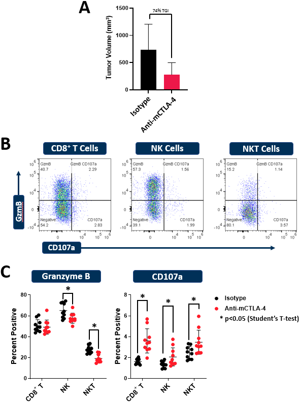 图3：CT26模型中的细胞毒性分析。向已形成CT26肿瘤（n=10/组）的BALB/c小鼠给予抗mPD-1（克隆RMP1-14）或同种型对照抗体。如上所述进行离体刺激和免疫表型测定。