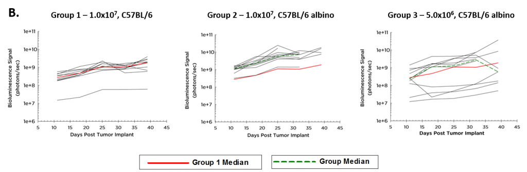 Imagen 1B: cinética de crecimiento del tumor-ID8-Luc-mCh-Puro