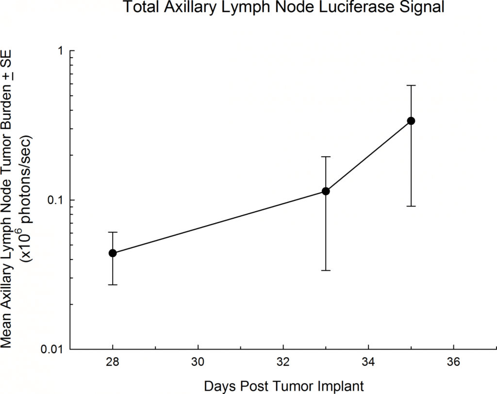 Abb. 2: Gesamt-Luciferase-Signal des axillären Lymphknotens