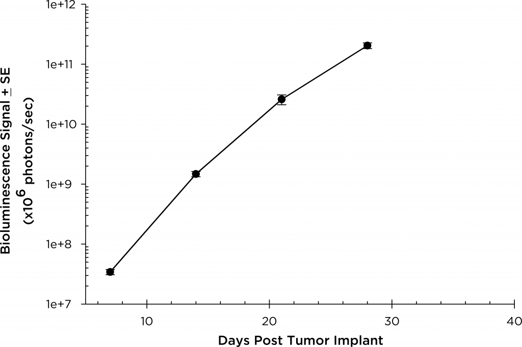 図 4：NSG マウスにおける MM.1S-pMMP-LucNeo ヒト多発性骨髄腫：総腫瘍量の平均 BLI シグナル