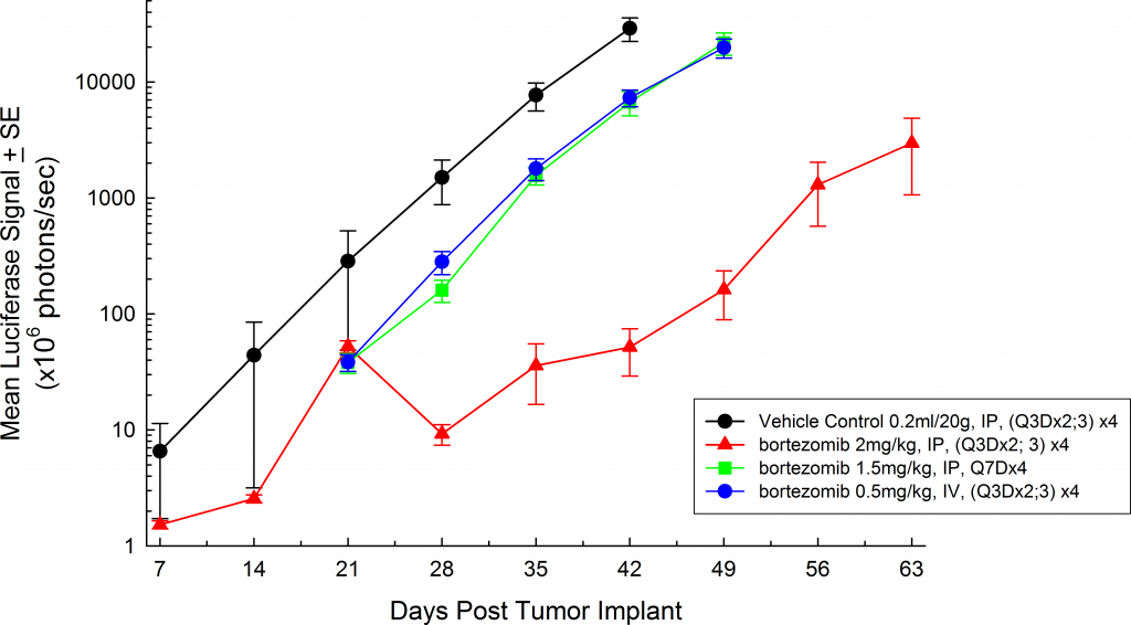 图3：SCID Beige小鼠中的MM.1S-pMMP-LucNeo人类多发性骨髓瘤：肿瘤总直径平均值BLI信号