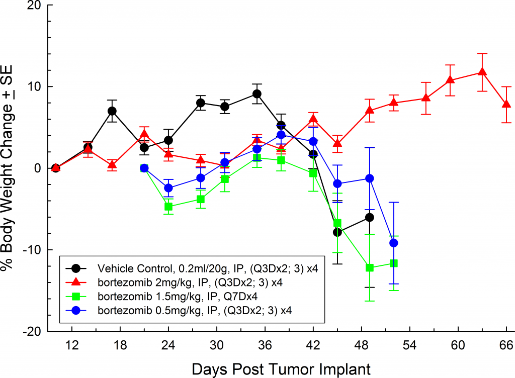 Fig. 5: mieloma múltiple humano MM.1S-pMMP-LucNeo en ratones SCID beige: porcentaje promedio de cambio en el peso corporal