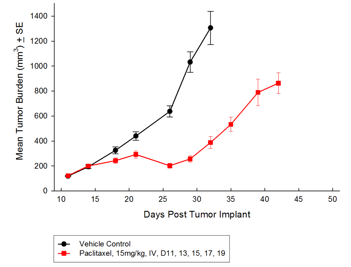 Fig. 1 : effets antitumoraux du paclitaxel sur les tumeurs du SC A549 CPNPC