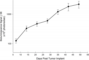 Fig. 6: Mittlere Tumorlast nach orthotopischer Implantation von NCI-1703