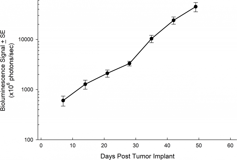 Fig. 3 : charge tumorale moyenne du HCC827 orthotopique