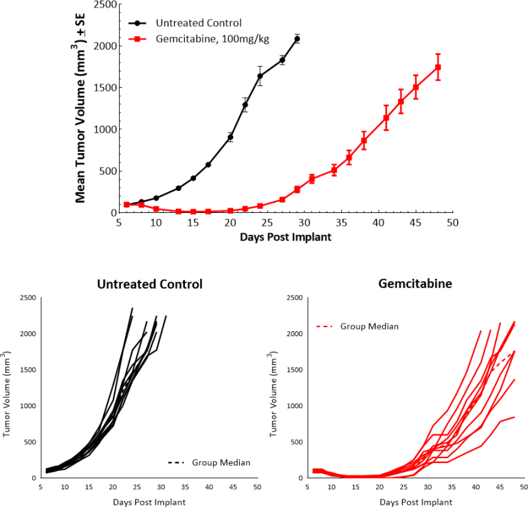 Fig. 3 : réponse de Pan02 à la gemcitabine.