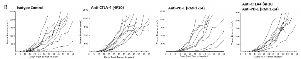 图2B - 抗PD-1和抗CTLA-4对Pan02胰腺肿瘤的功效