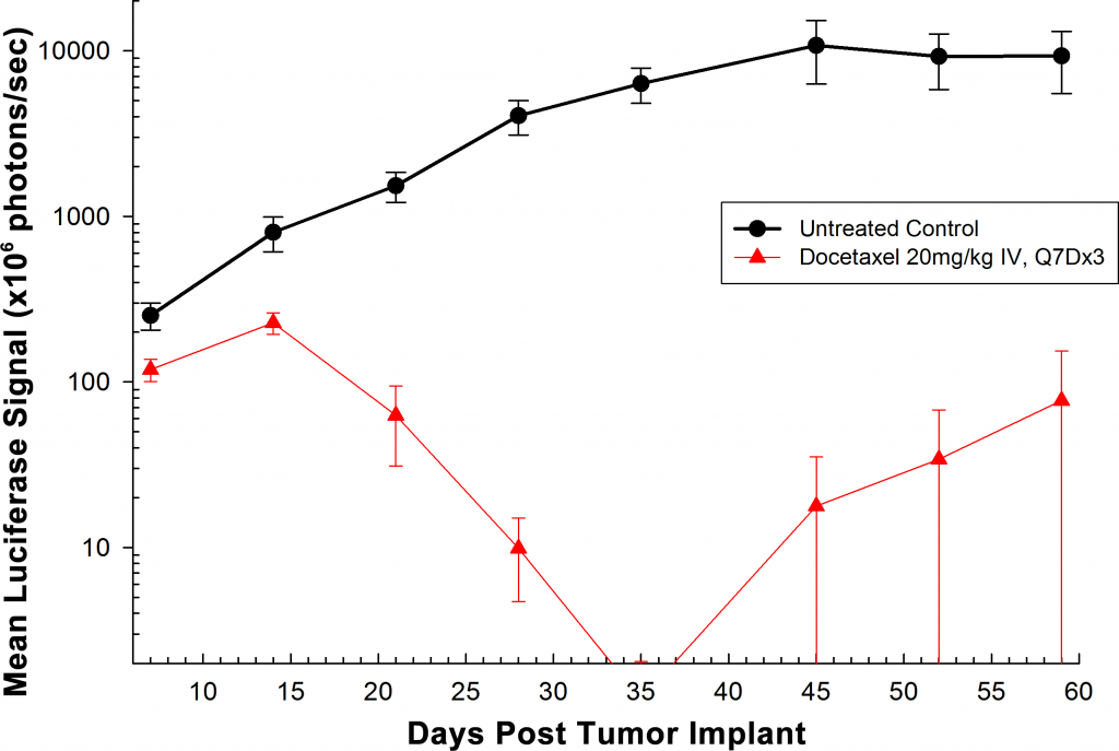 図 2：同所性 PC-3M-Luc-C6 ヒト前立腺癌 - 総腫瘍量の平均 BLI シグナル
