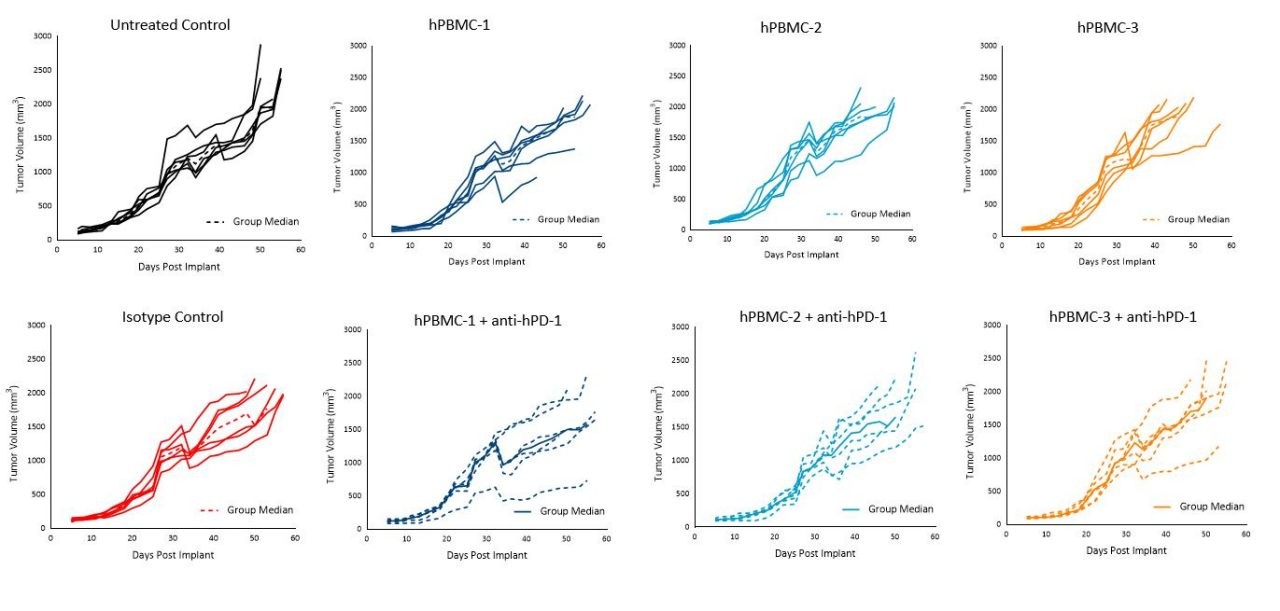 Imagen 5. Crecimiento tumoral de tumores subcutáneos MiaPaCa-2 tras administración de hPBMC y tratamiento con control de isotipo o pembrolizumab (anti-hPD-1)