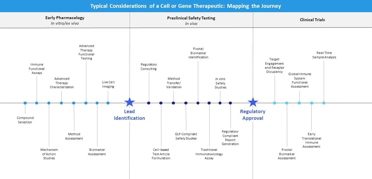 Image of cell or gene therapeutic journey map